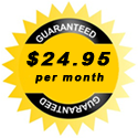 Car Dealer Websites for Just $24.95 Per Month