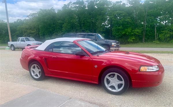 1999 Ford Mustang GT V8's photo