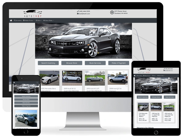 Website theme 6