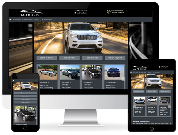 Website theme 5
